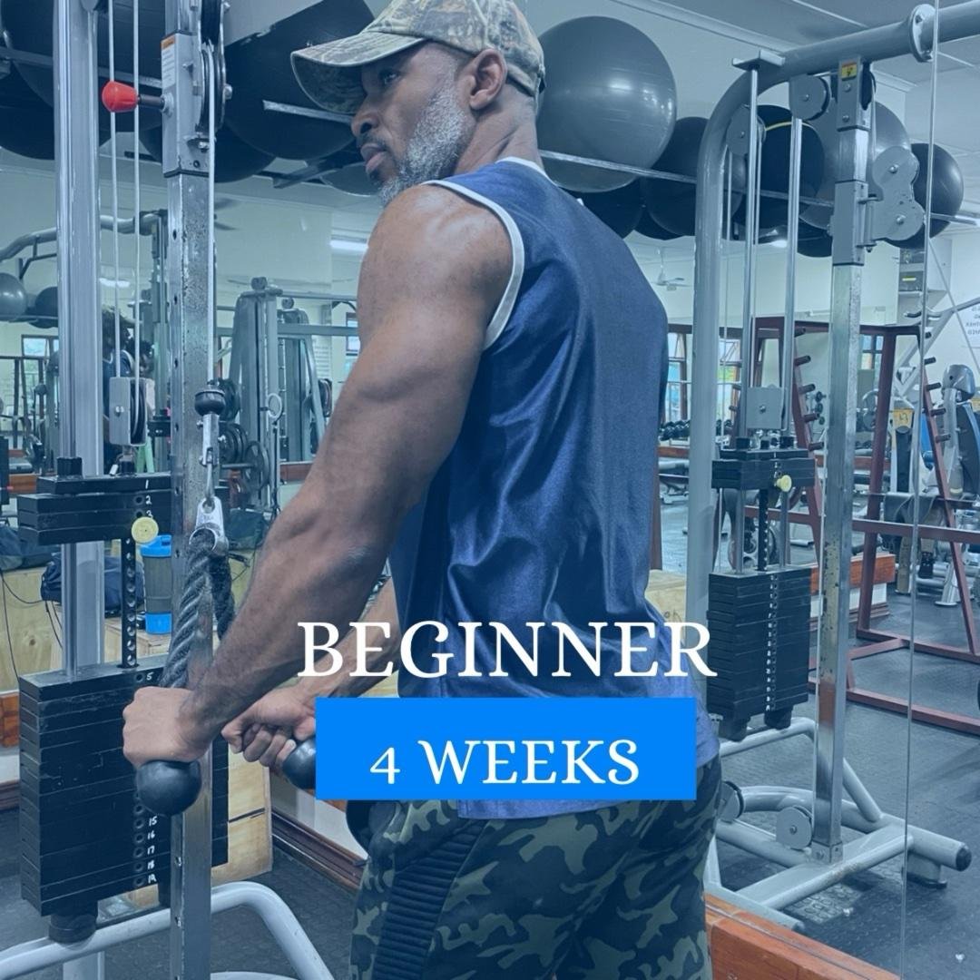 Beginner Full Body