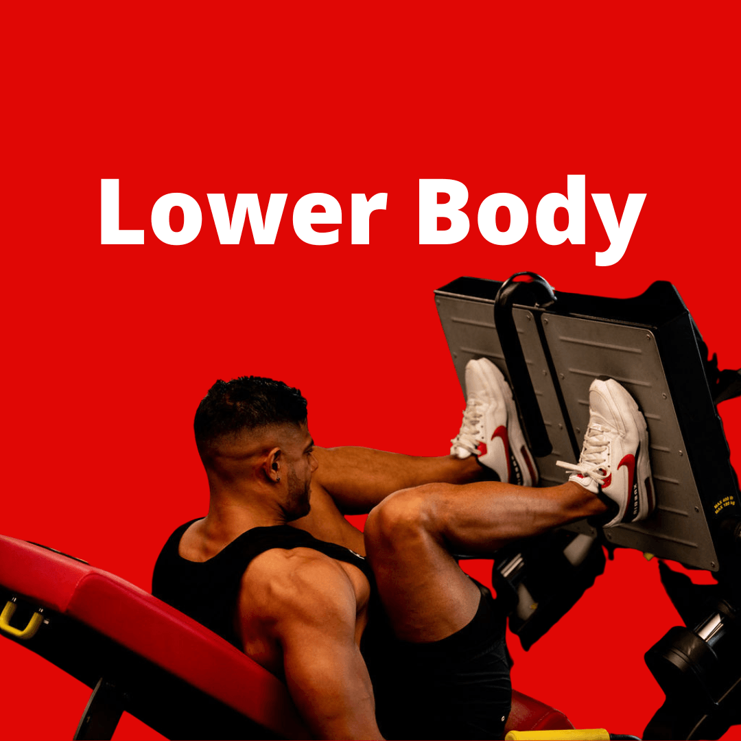 Lower Body