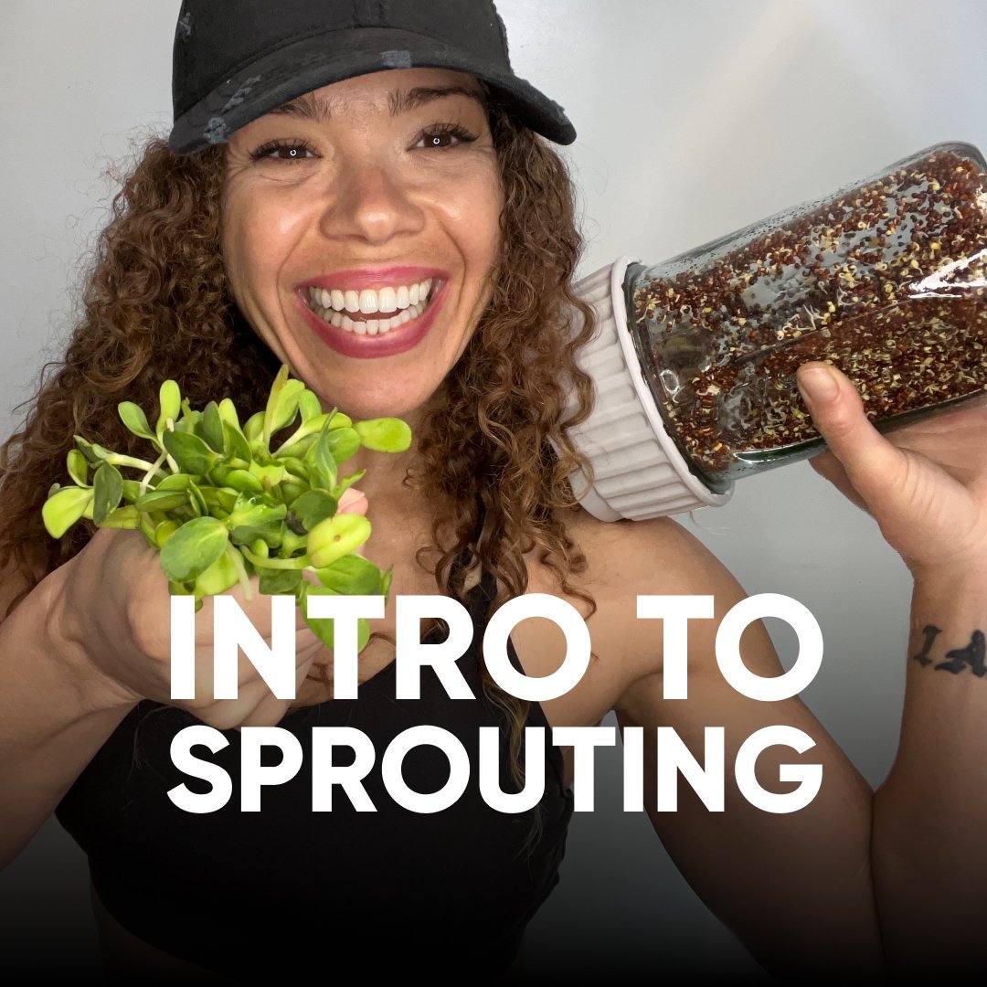 Intro To Sprouting