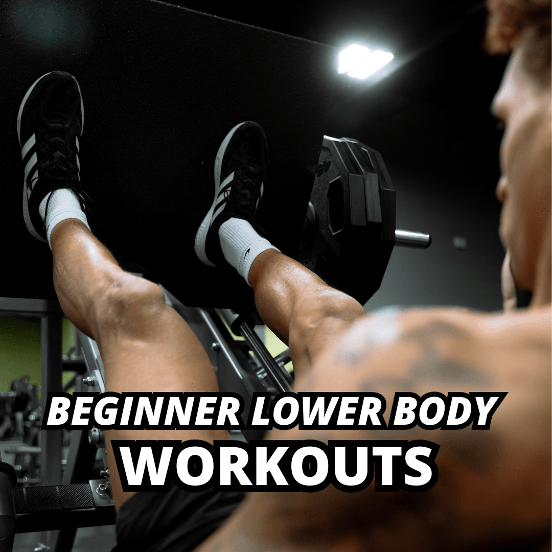 Beginner Lower Body