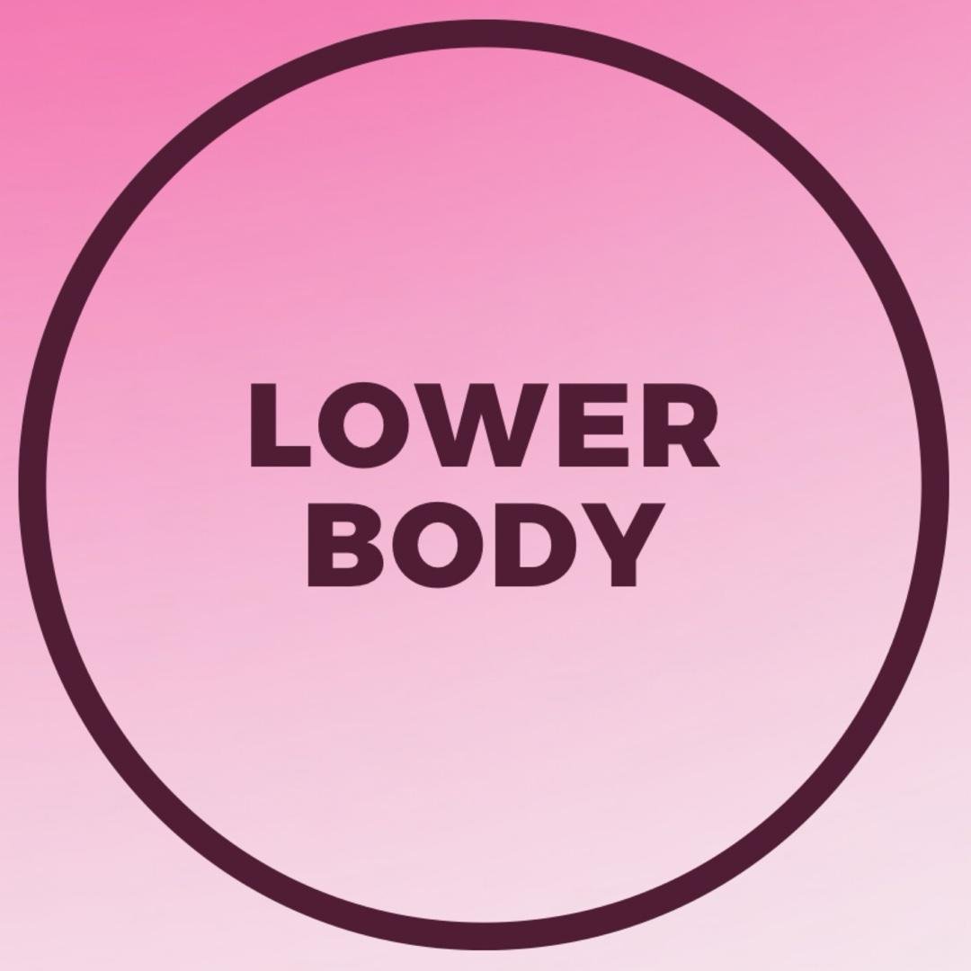 Lower Body Workouts