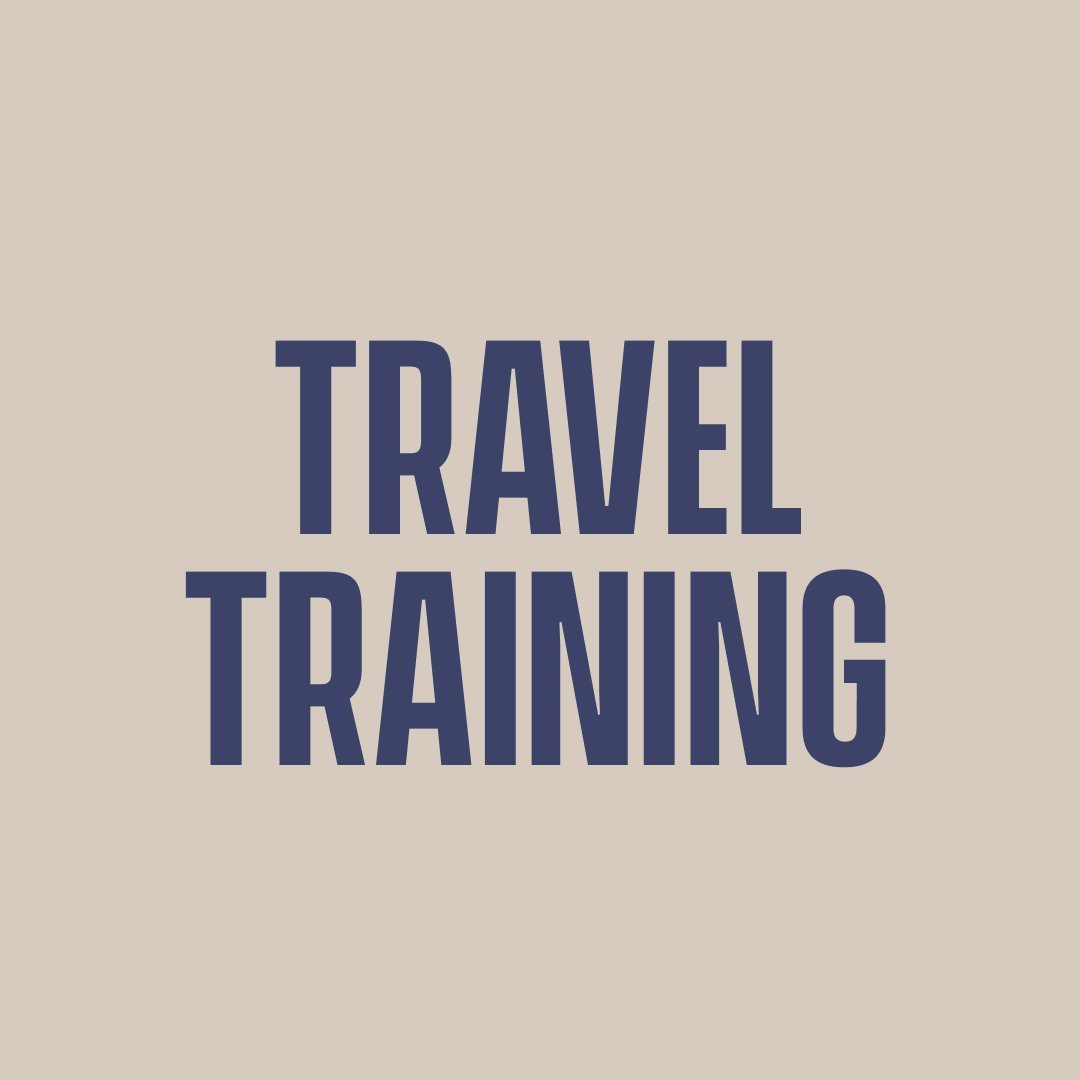 Travel Training