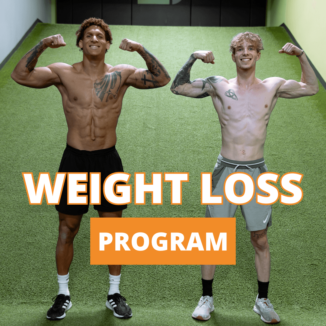Program Highlights