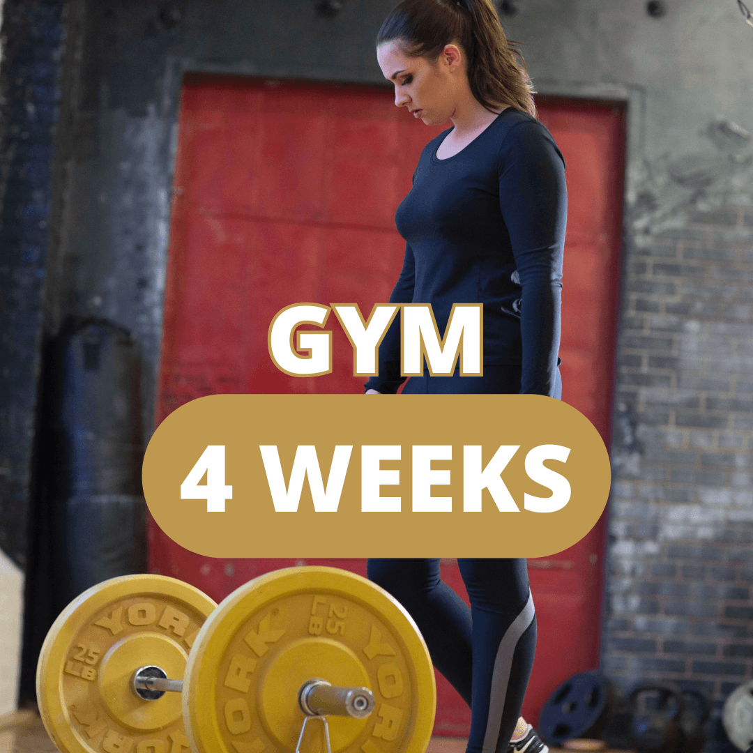 Gym Program V9