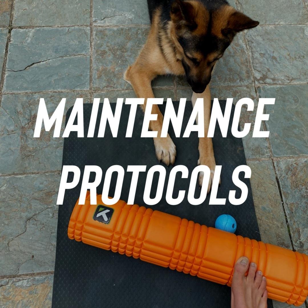 Maintenance Protocols
