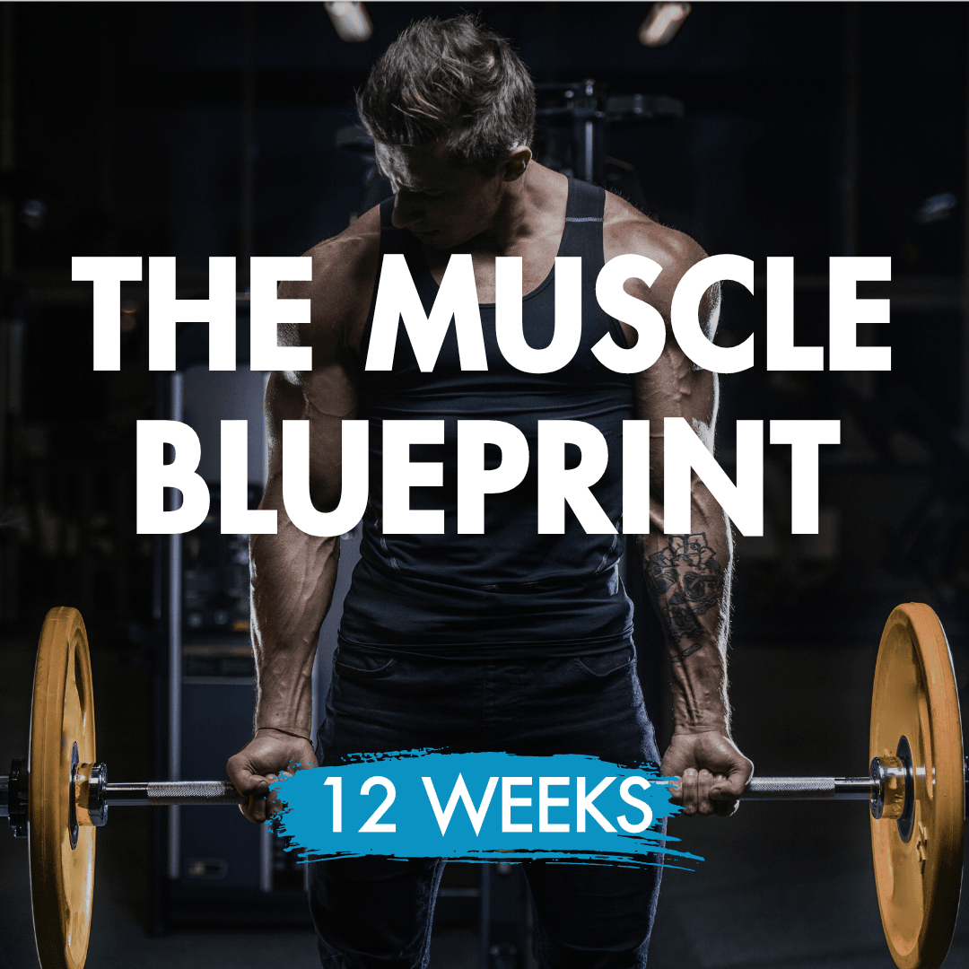 THE MUSCLE BLUEPRINT