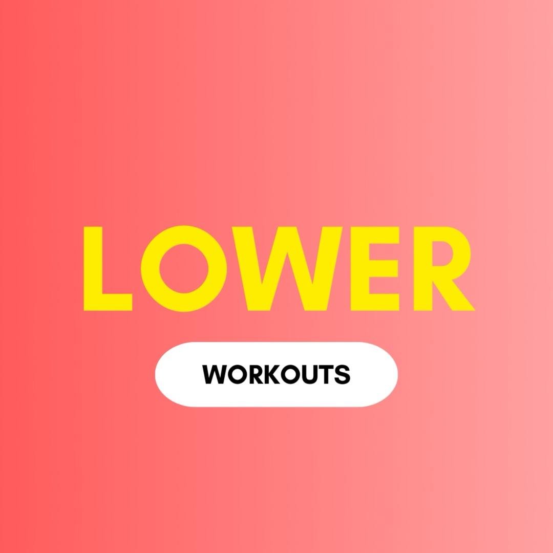 Lower Body Workouts
