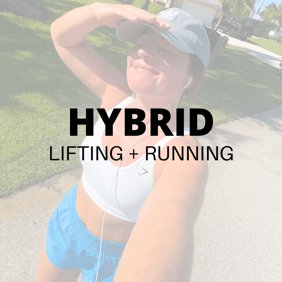 Hybrid Gym
