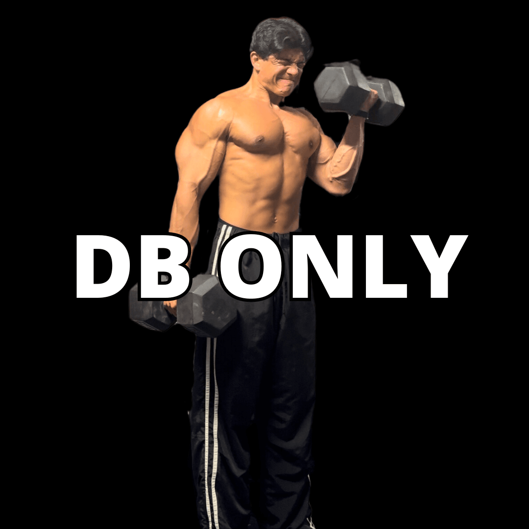 Dumbbell Only Workout