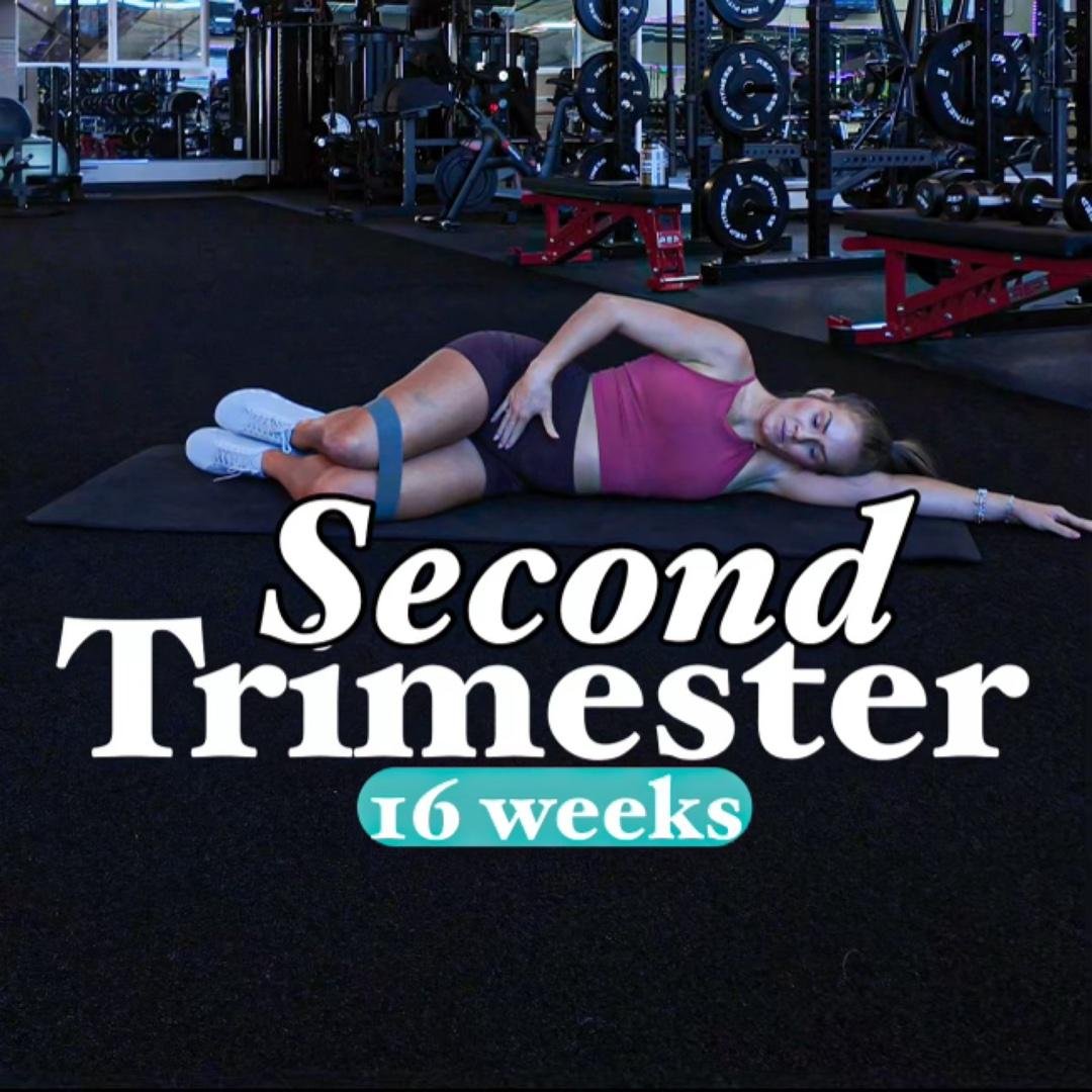 Second Trimester