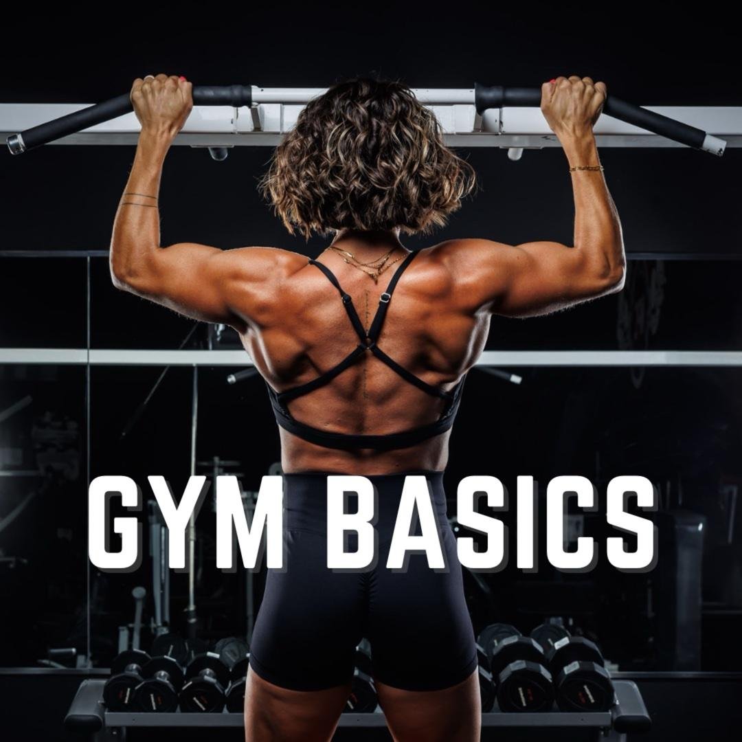 Gym Basics