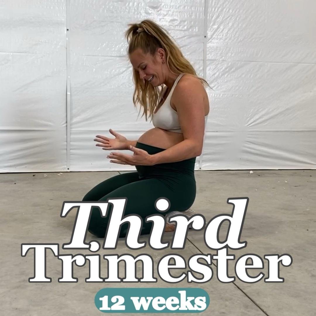 Third Trimester.