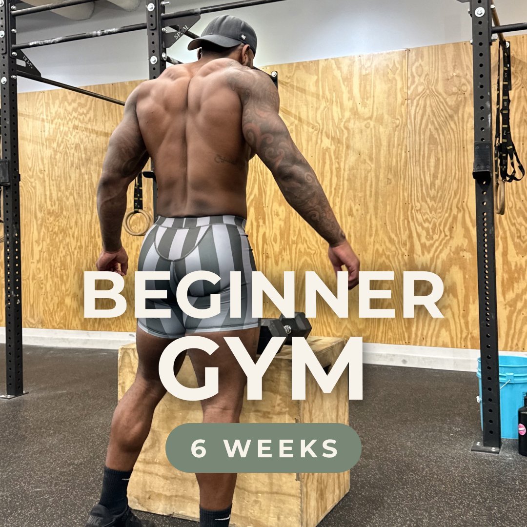 Beginner GYM