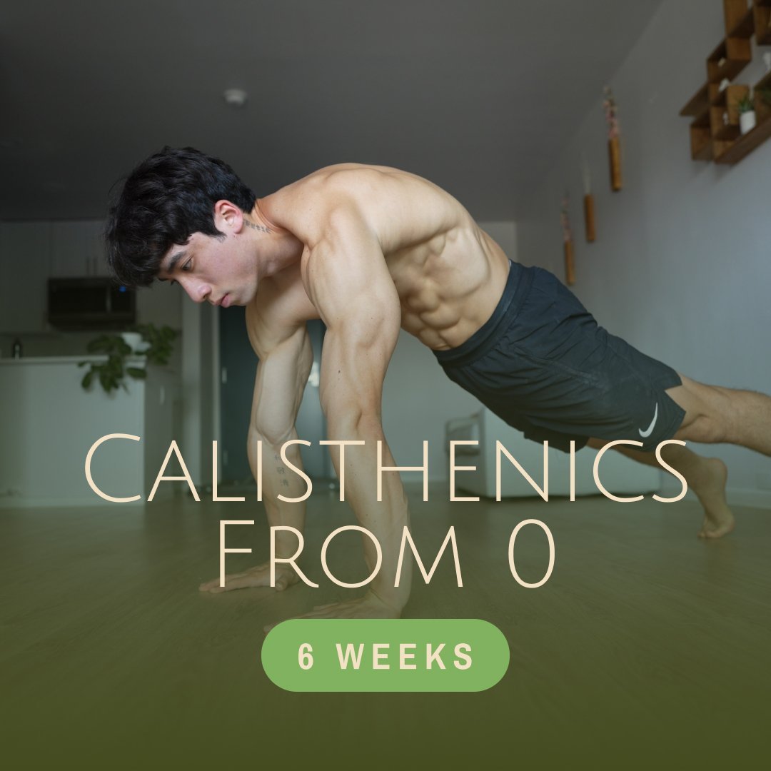 Calisthenics From 0