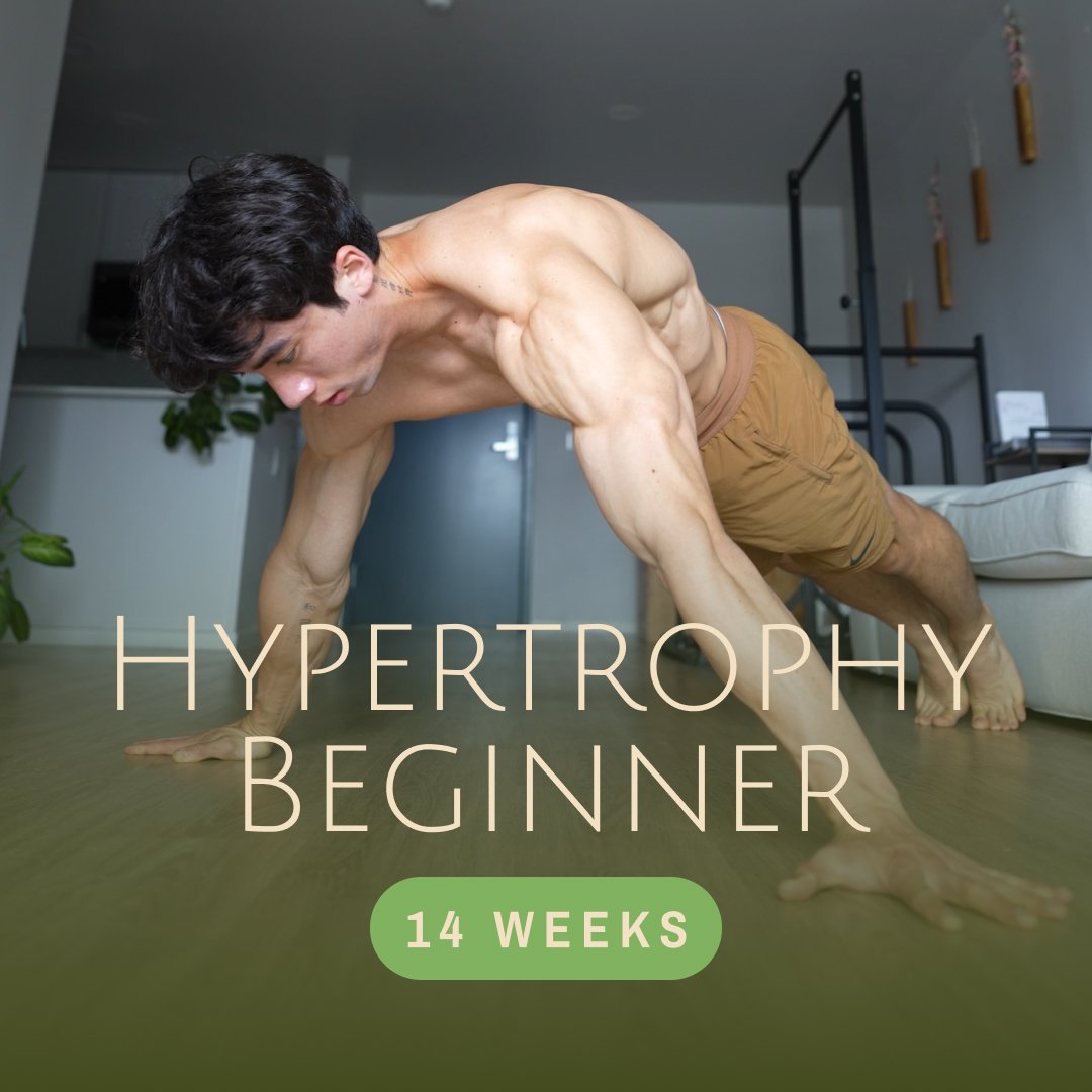 Hypertrophy - Beginner