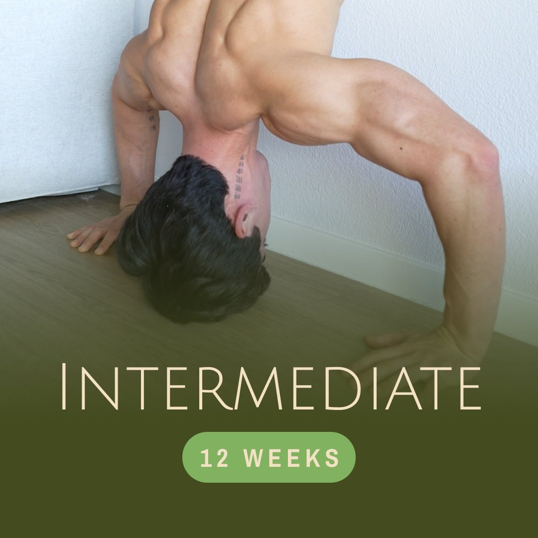 Intermediate