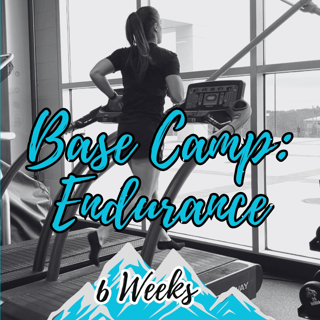 Base Camp: Endurance