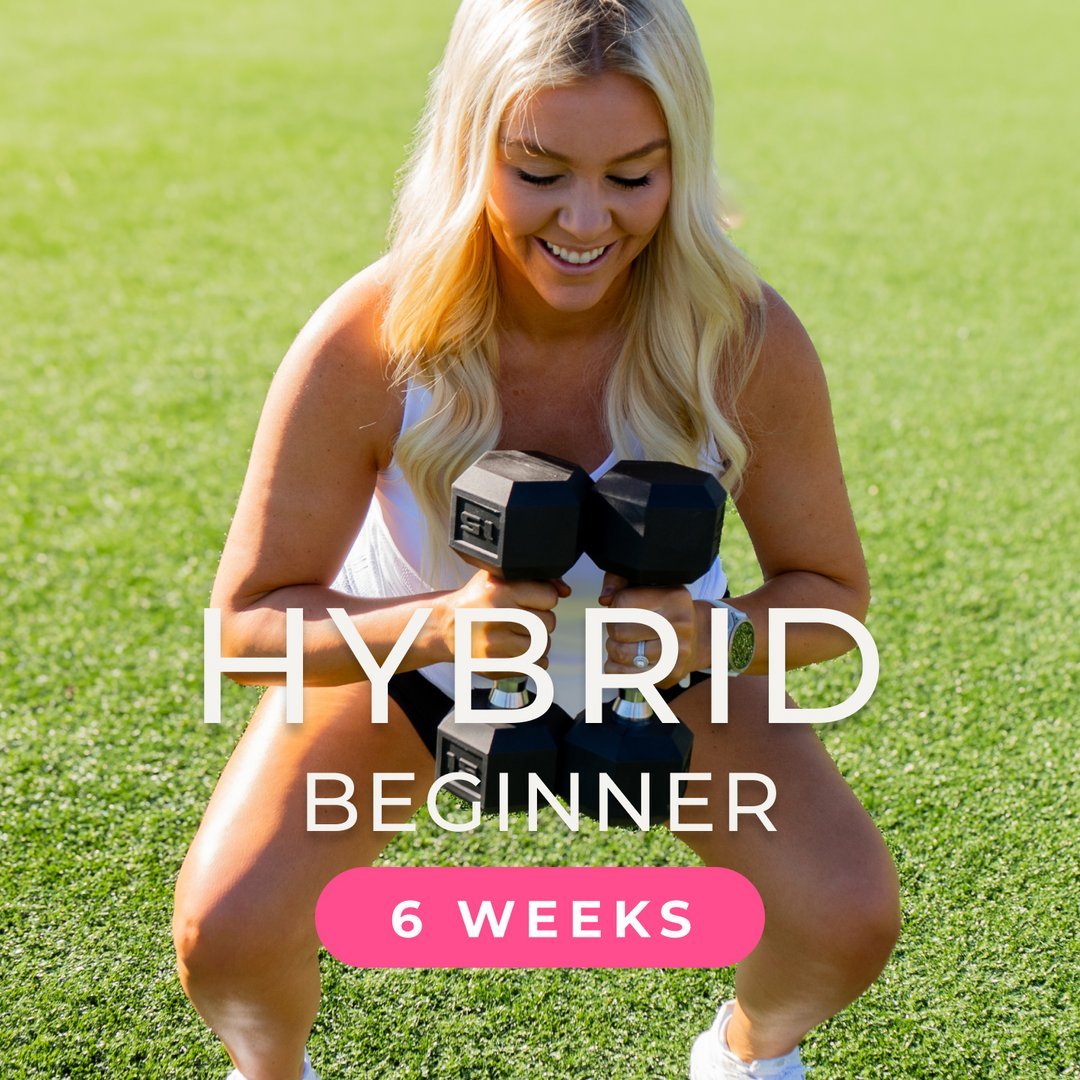 Hybrid Beginner