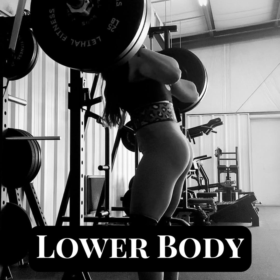 Lower Body
