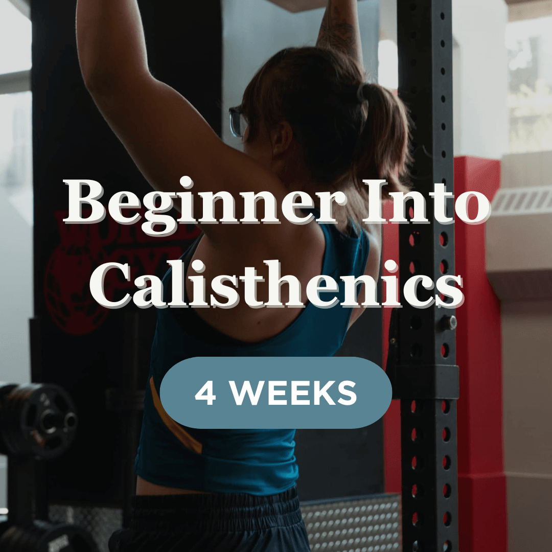 Programs Highlight