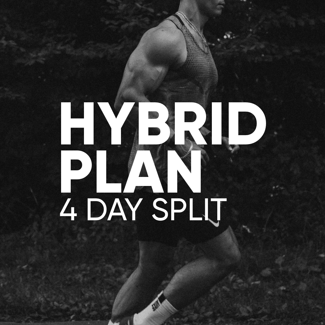 Hybrid Plan