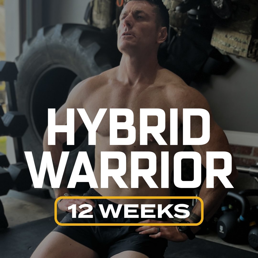 Hybrid Warrior Program