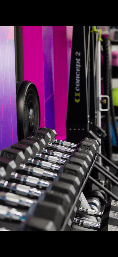 DB & BW Shred Program
