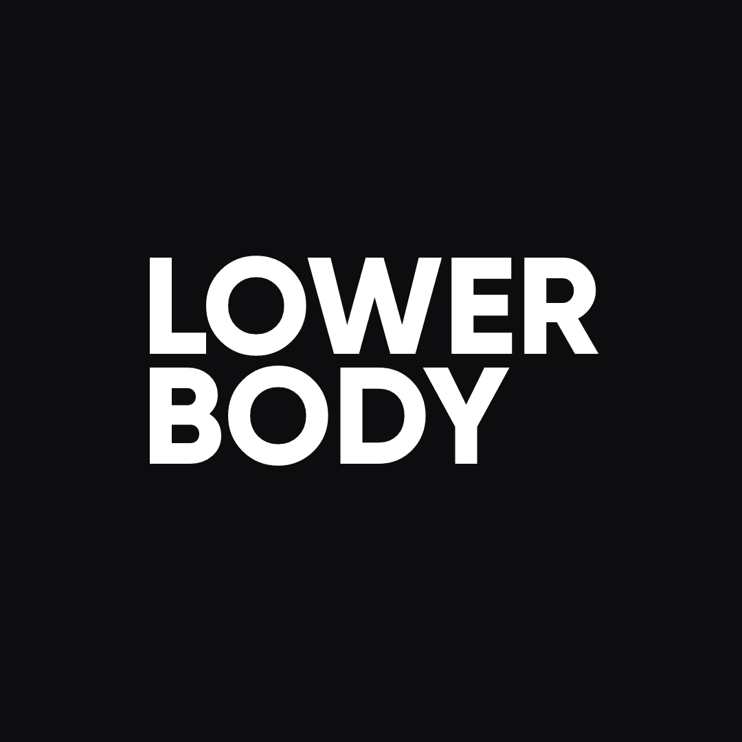 Lower Body Workouts