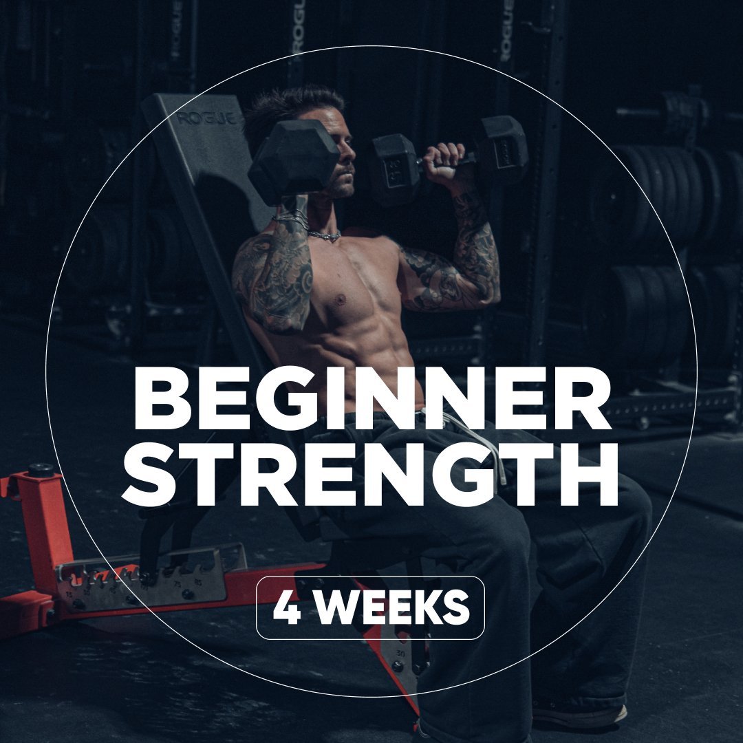 Beginner