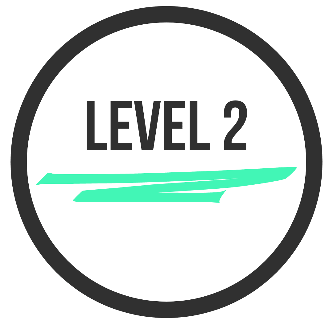 Level 2