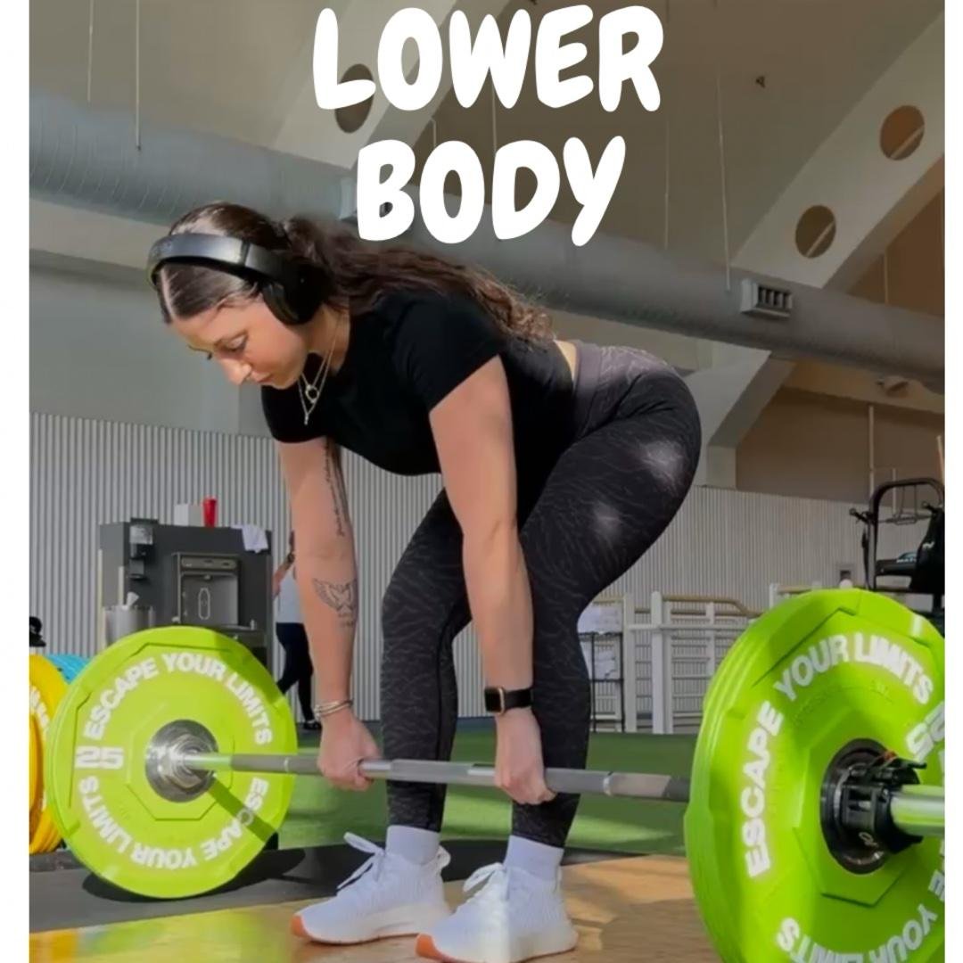 Lower Body Workouts