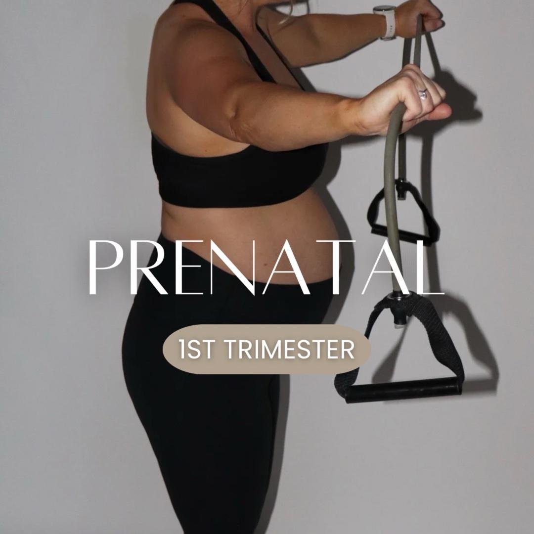 1st Trimester