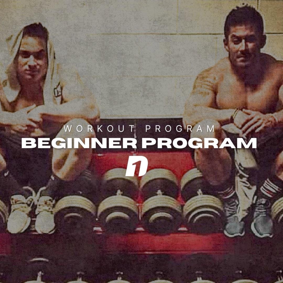 Day 1 Program (Beginner)