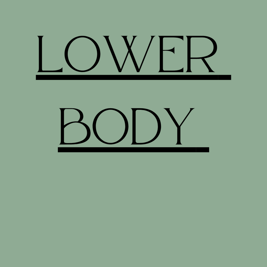 Lower Body Workouts