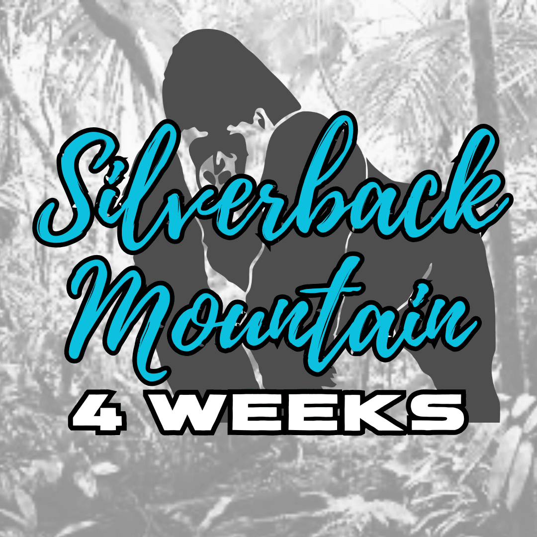 Silverback Mountain