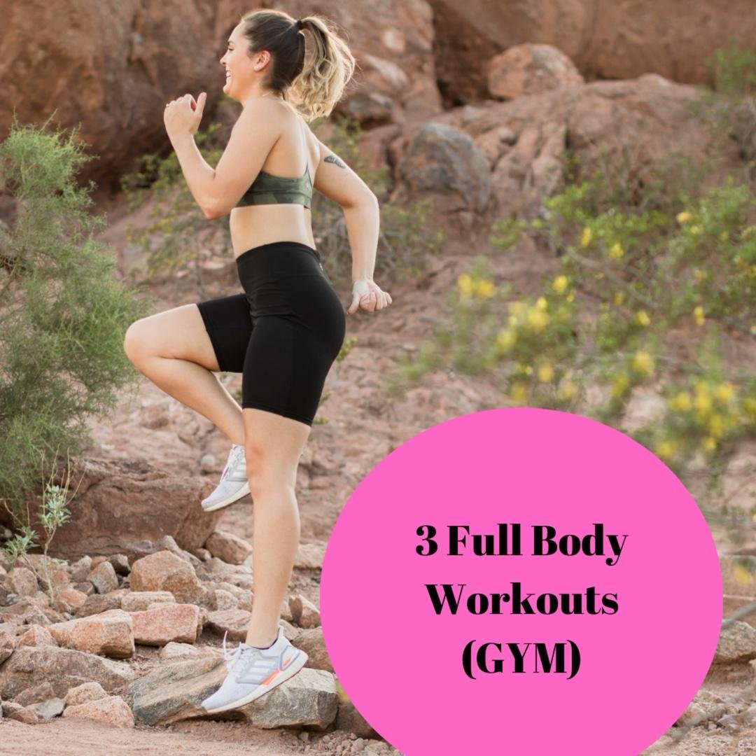 3 Full Body Workouts (Gym)