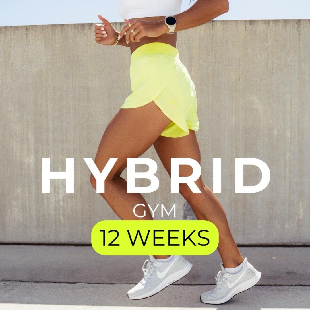 HYBRID