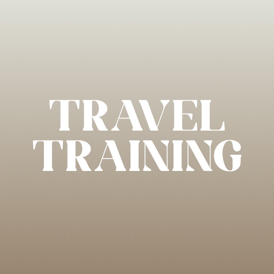 Travel Training