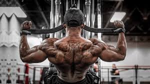 Back workout
