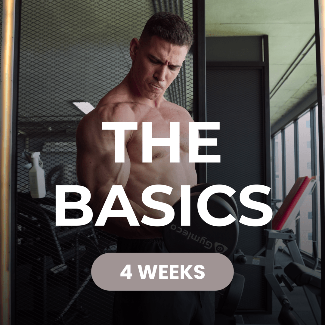 THE BASICS