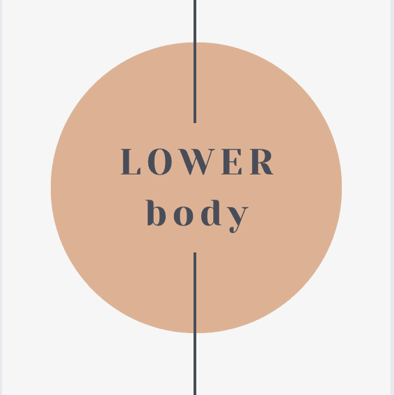 Lower Body
