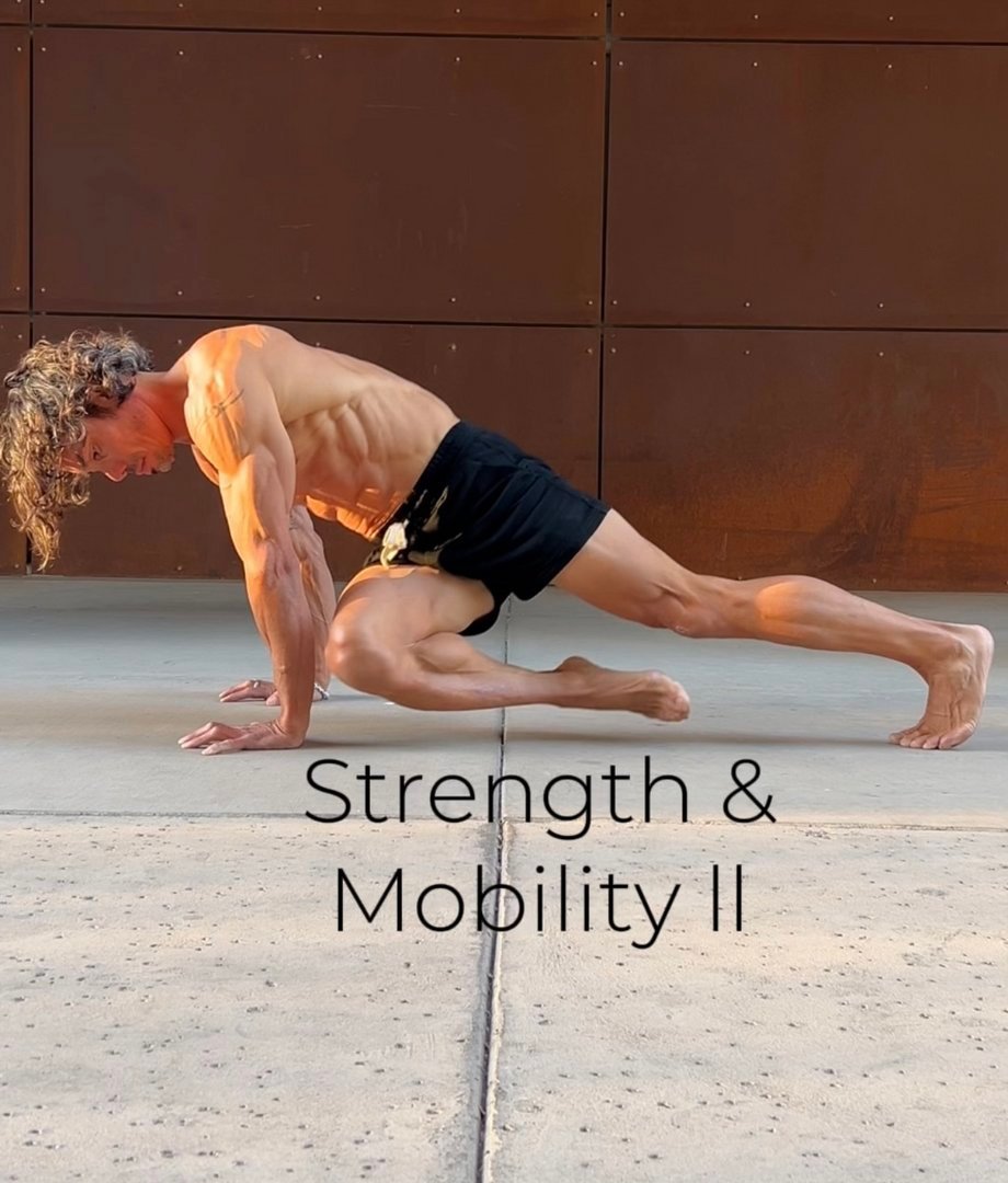 Strength & Mobility ll