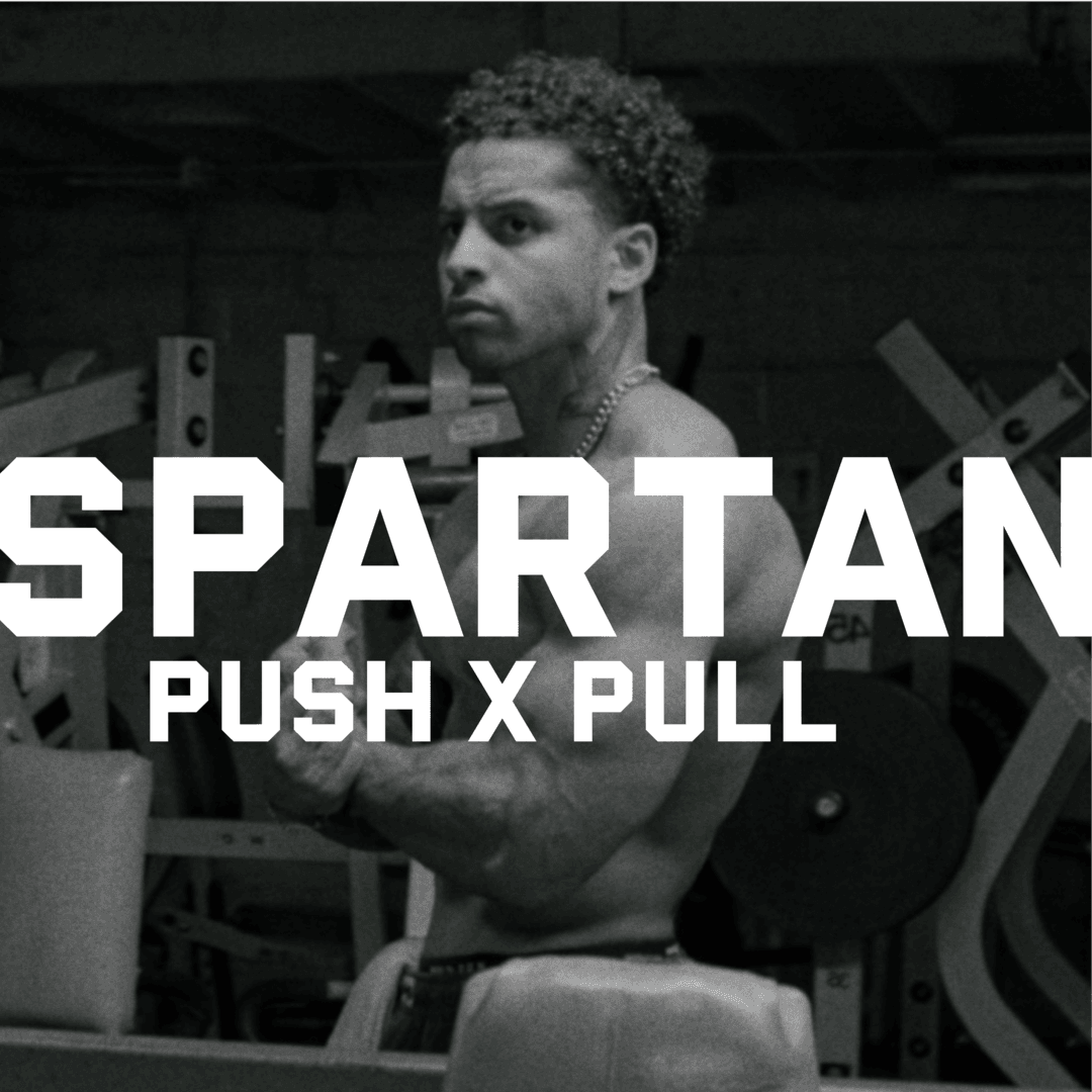 SPARTAN 3