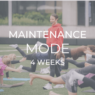 Maintenance Mode (4 weeks)