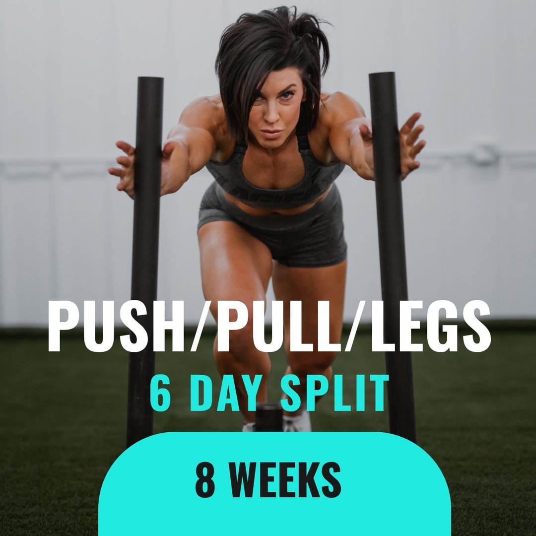 Push/Pull/Legs - 6 Day Split