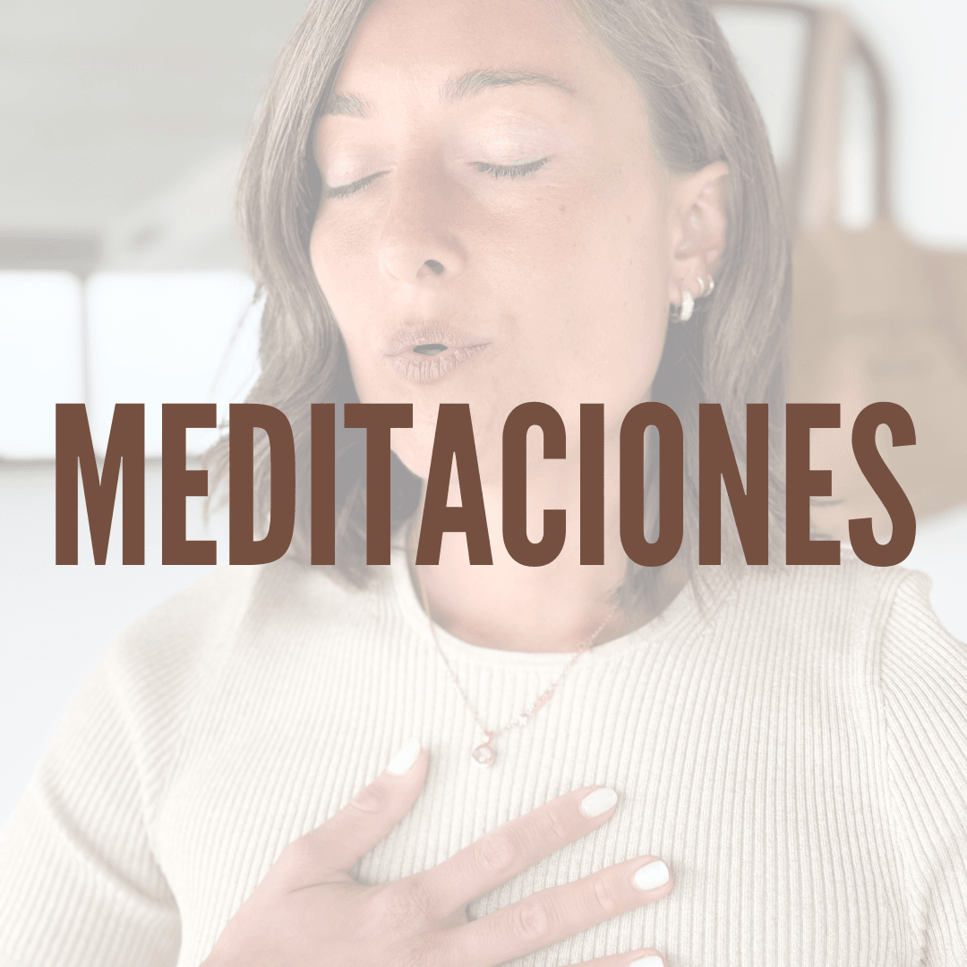 Meditaciones varias