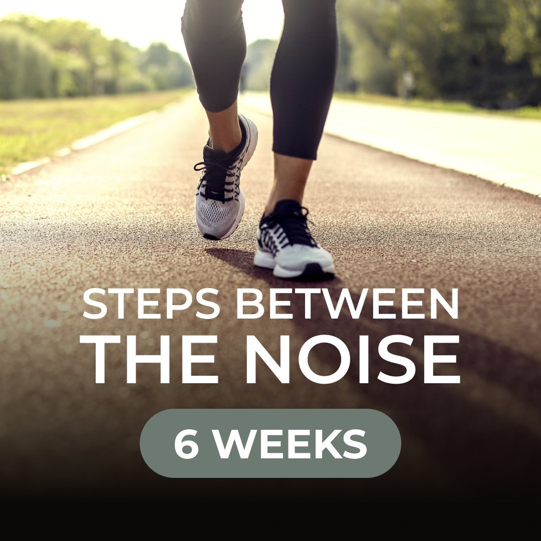 Steps Between the Noise