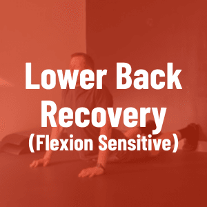Low Back Rehab (Flexion Intolerant)