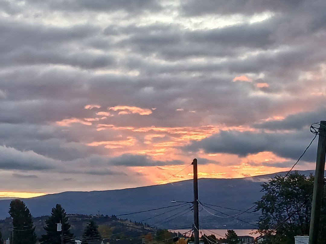 Meditations x 5 - Mindful Moments