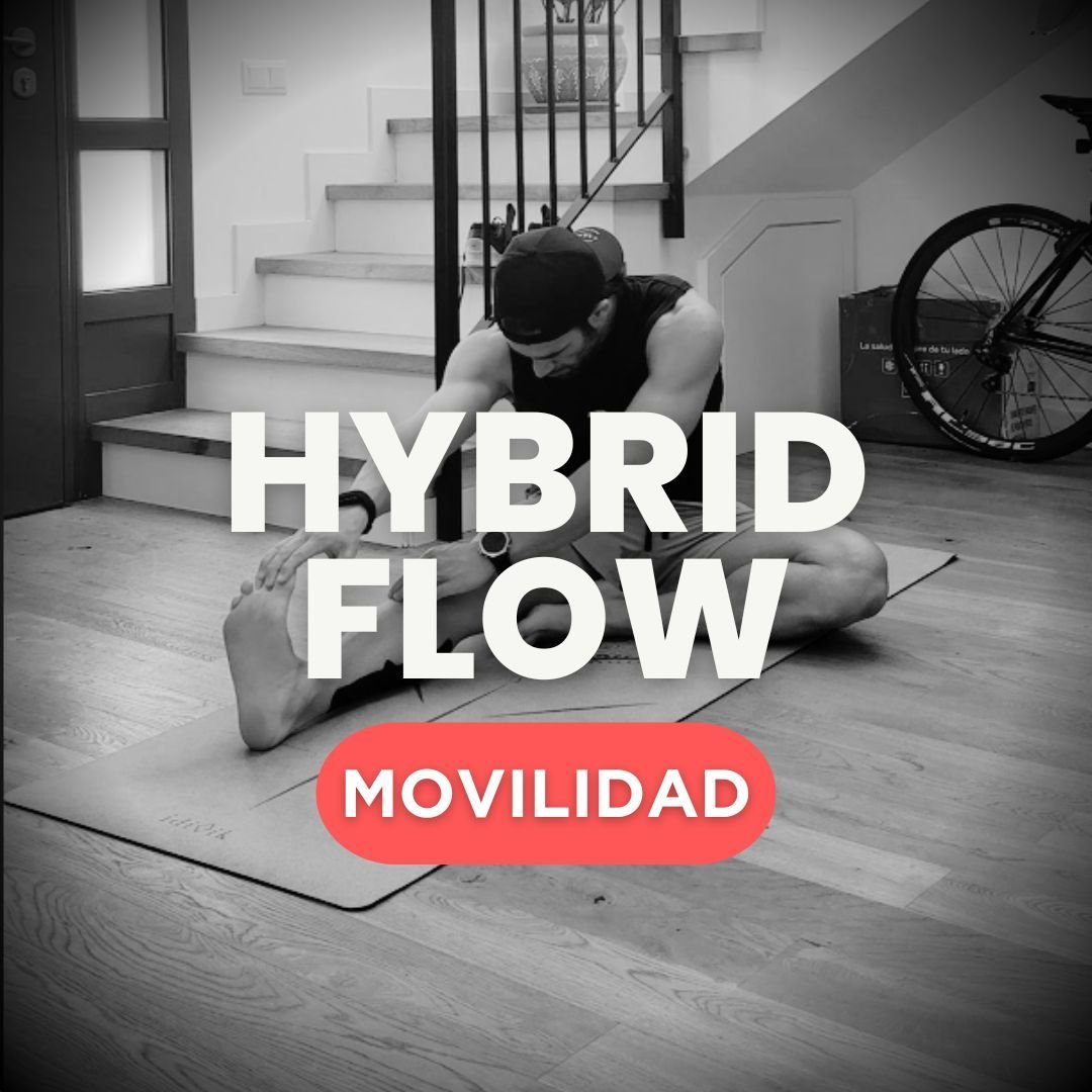 HYBRID FLOW BASE Vol1